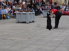 Una imagen del acto de la UME hoy en Soria. /PC