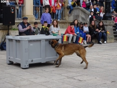 Una imagen del acto de la UME hoy en Soria. /PC
