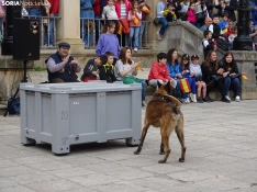 Una imagen del acto de la UME hoy en Soria. /PC