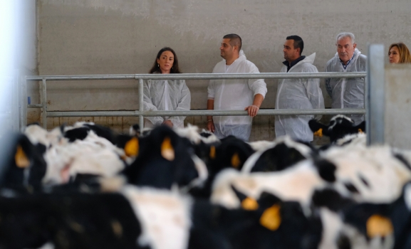 Castilla y León duplica la ayuda para modernizar los cebaderos de explotaciones ganaderas con un presupuesto de 6 M&euro;