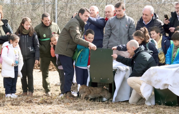 Castilla y León libera dos nuevos ejemplares de lince ibérico