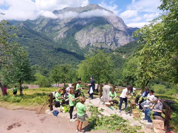 Voluntariado Ambiental en Castilla y León: Más de 115 actividades
