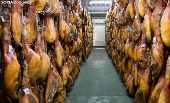 El sector agroalimentario de Castilla y León afianza su I+D con la captación de nuevo talento investigador