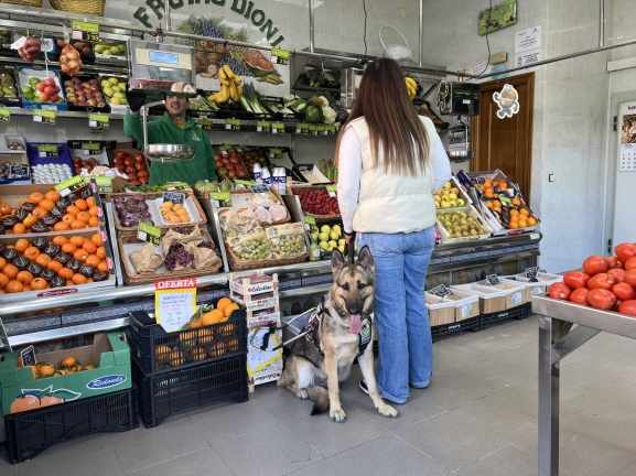 Perros guía en Soria reclaman acceso a tiendas de alimentación