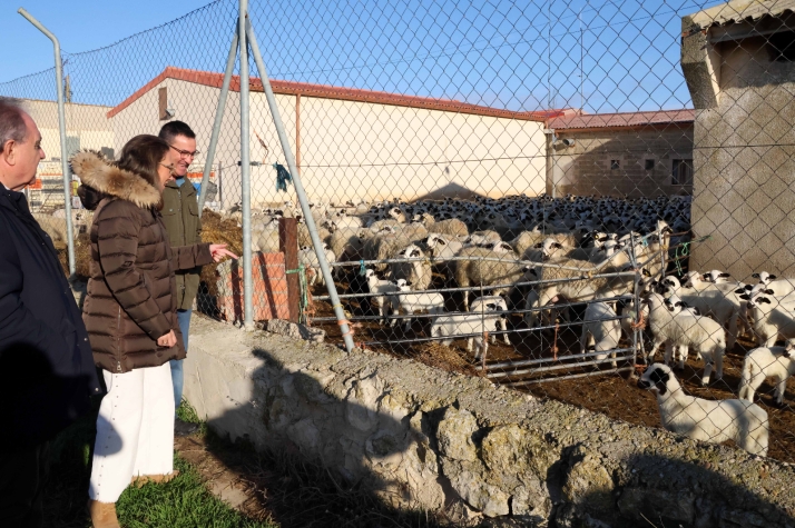 Castilla y León fomenta el consumo de lechazo de calidad