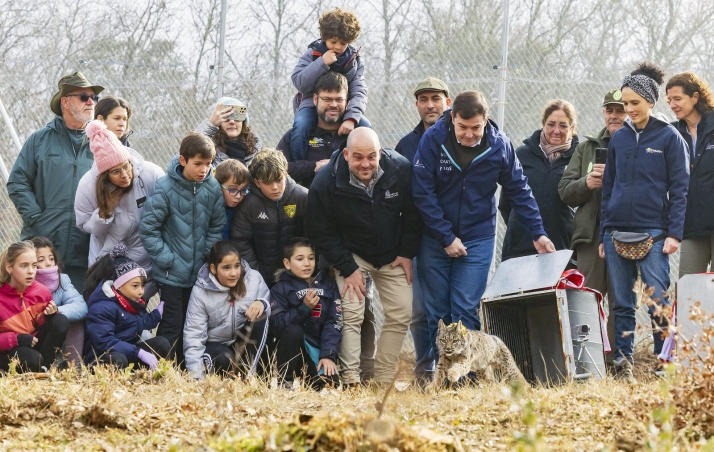 VIDEO | Comienza la reintroducción del lice ibérico en Castilla y León