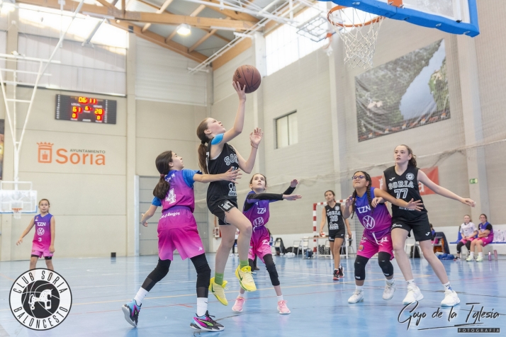 Resultados cantera Club Soria Baloncesto: derbis y victorias