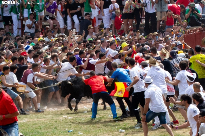 ¿Sanjuaneras en Guadalajara?: El vídeo viral que une a Soria con Molina de Aragón