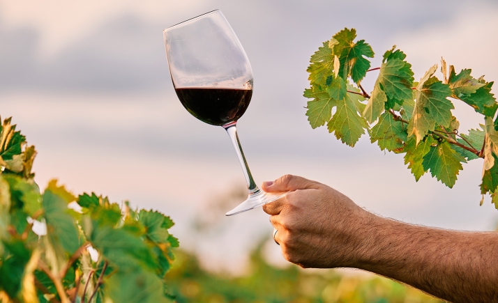 Ayudas de la Junta para la exportación de vino en Castilla y León