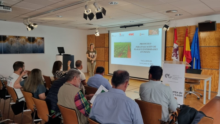 Las patatas de Castilla y León se protegerán de plagas y enfermedades con un innovador programa piloto