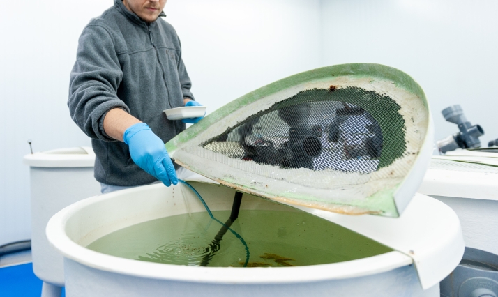 ¿Formación en acuicultura en Castilla y León? La Junta lo pone fácil